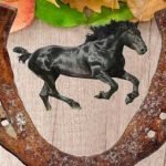 black-horeshoe-kaale-ghode-ki-naal