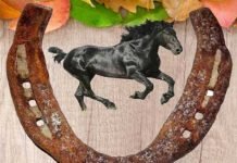 Black horseshoe / Kaale Ghode ki Naal