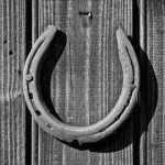 black-horse-shoe-on-door