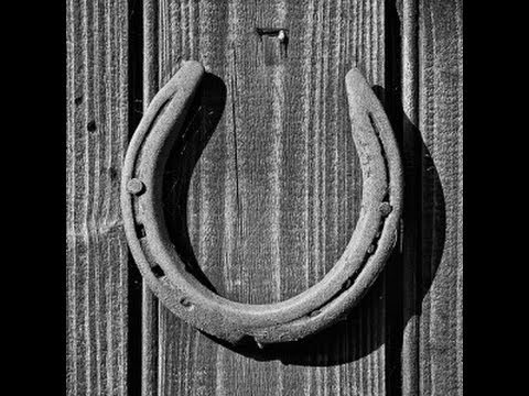 Black Horse Shoe on Door