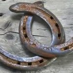 black-horseshoe-kaale-ghode-ki-naal