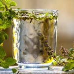 Tulsi Plant And Its Medicinal Properties