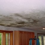 Dampness-in-building