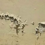 Seelan Removal from Walls