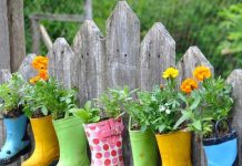 Gardening Ideas n Tips
