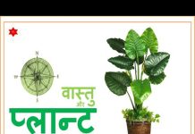 Vastu Tips for Trees and Plants