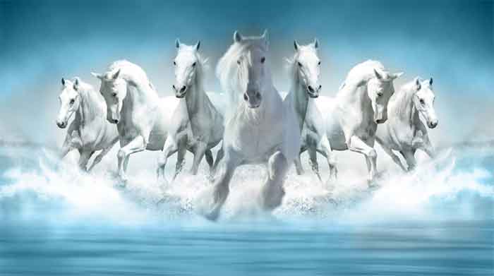 galloping white horse painting