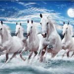 galloping-horse-in-water-wh