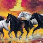 running-horse-wallpaper-hd