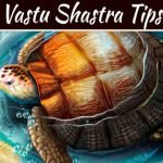Importance-of-Vastu-Tortois