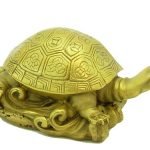 tortoise