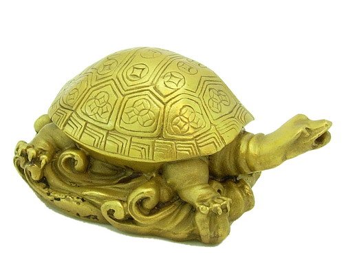 vastu tortoise