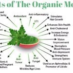 Moringa-Oleifera-Drumstick-Tree-infograph