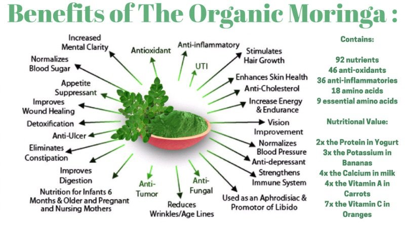 Drumstick Moringa Benefits