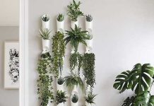 Decorate with Plants
