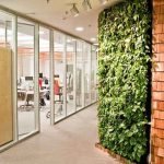 plants-with-walls
