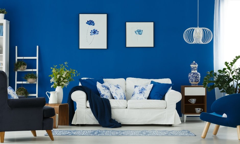 white and blue colour combination