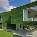 front-wall-grass-design