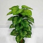 artificial-money-plant-tree
