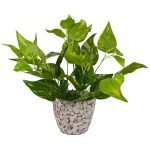 artificial-potted-money-plant