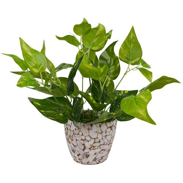 Artificial Potted Money Plant