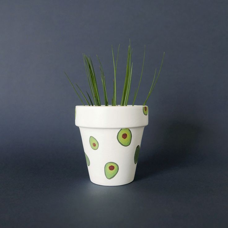 avacado plant pot painting ideas