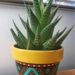 cactus-painted-terra-cotta-pot-painting