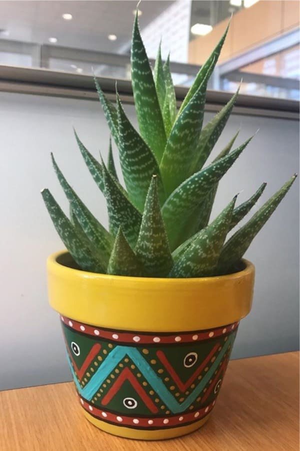 terra cotta pot plant painting ideas