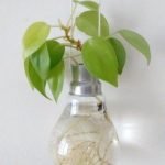 glass-bulb-stand-for-money-plant