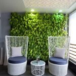 grow-money-plant-on-wall