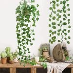 money-plant-climbing-ideas