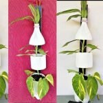 moneyplant-bottle-stand