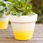 ombre-plant-pot-painting-ideas