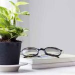 money-plant-advantages