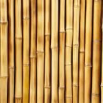Bamboo-Wood