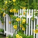 Raised-Flower-Beds