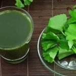 consume-brahmi-plant