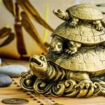 feng-shui-tortoise-items