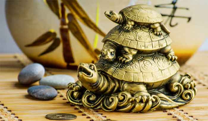 feng shui products/items: tortoise