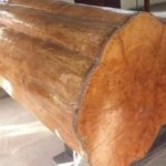 what-is-sagwan-wood
