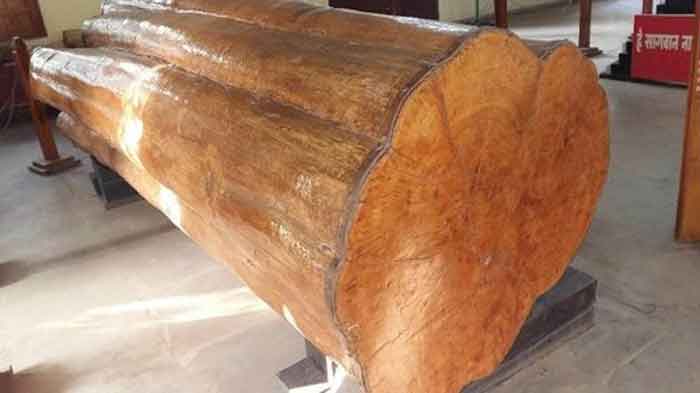 what is sagwan wood