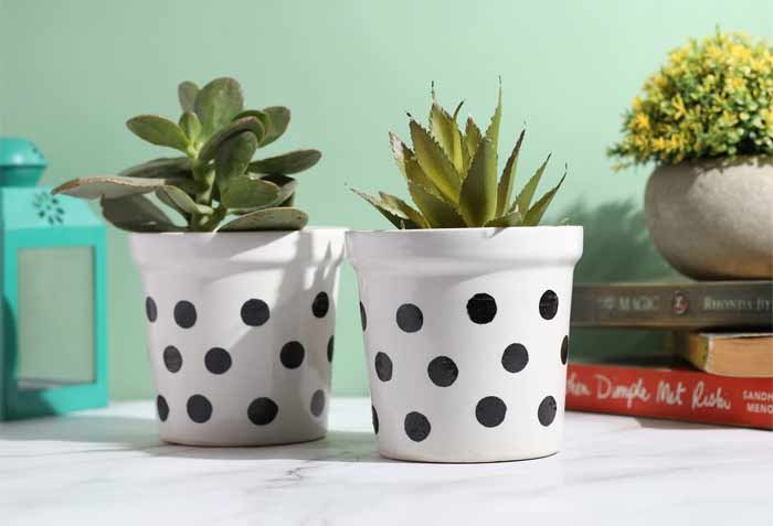 Polka dot pattern and Star-Spangled Banner pot