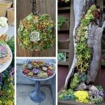 best-succulent-gardens