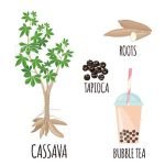 cassava-tapioca-bubble-tea