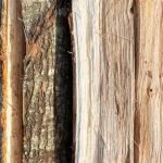 disadvantages-oak-wood