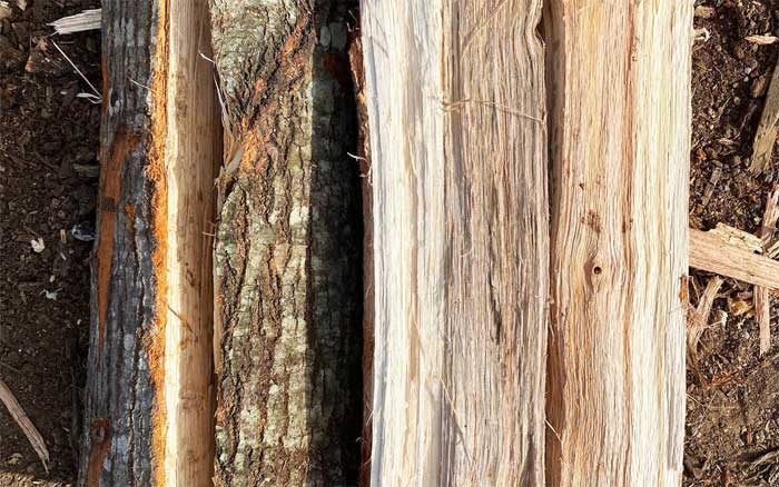 disadvantages of oak wood