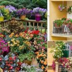 flower-terrace-garden