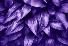 how to make violet color paint