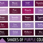shades-of-violet-color