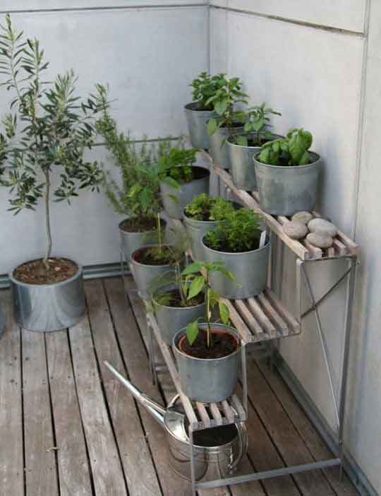 terrace herbs garden ideas
